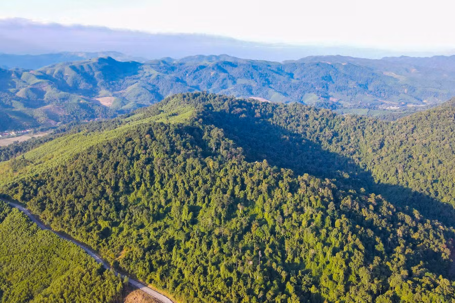 Rừng nguyên sinh Pù Hốc thuộc xã Diên Lãm, huyện Quỳ Châu.