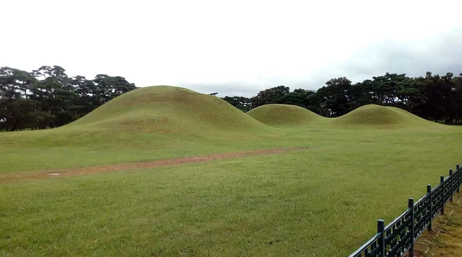 Một cụm gò mộ Silla ở Kyungju, Gyeongju. Ảnh: Thecollector.com