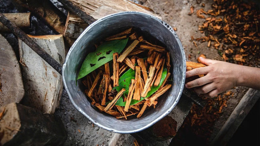 Ayahuasca là thức uống thảo dược của người dân vùng Amazon. ayahuasca-su-giai-thoat-hay-giao-phai-thoi-dai-moi-1.jpg