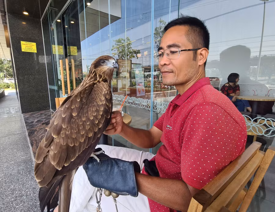 Chú chim săn mồi và biểu diễn của anh Nguyễn Ngọc Luận.