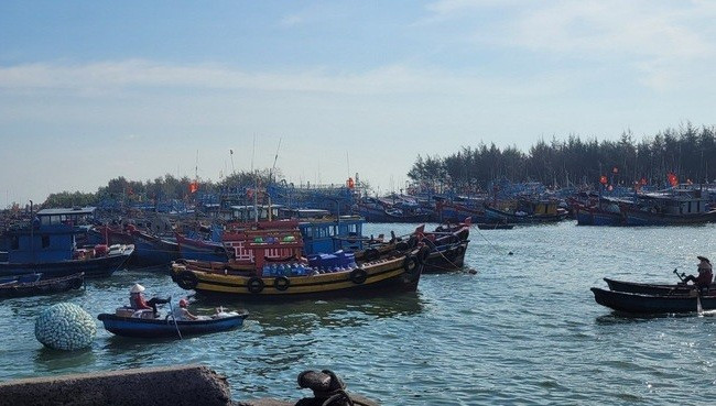 Tàu khai thác cá cơm của ngư dân vùng ven biển TPHCM không thể ra khơi vì giấy phép khai thác mới. 