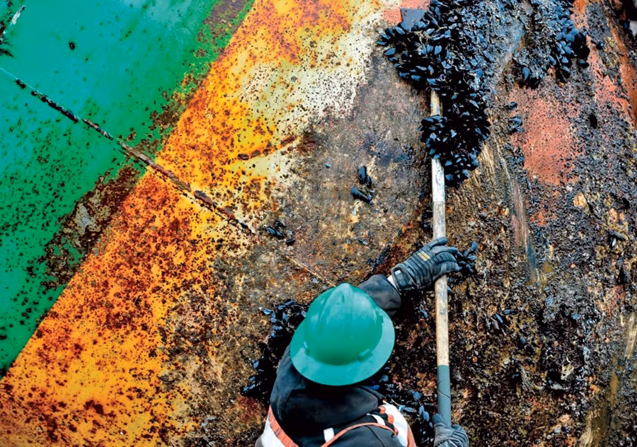 Ảnh minh họa: INT