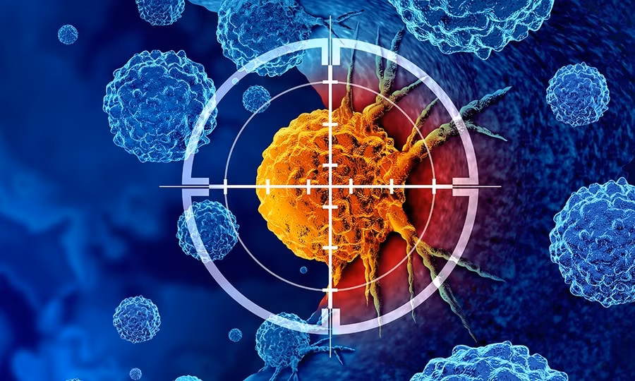 Chiến lược điều trị ung thư mới loại bỏ khả năng thích nghi và kháng trị của tế bào ung thư.