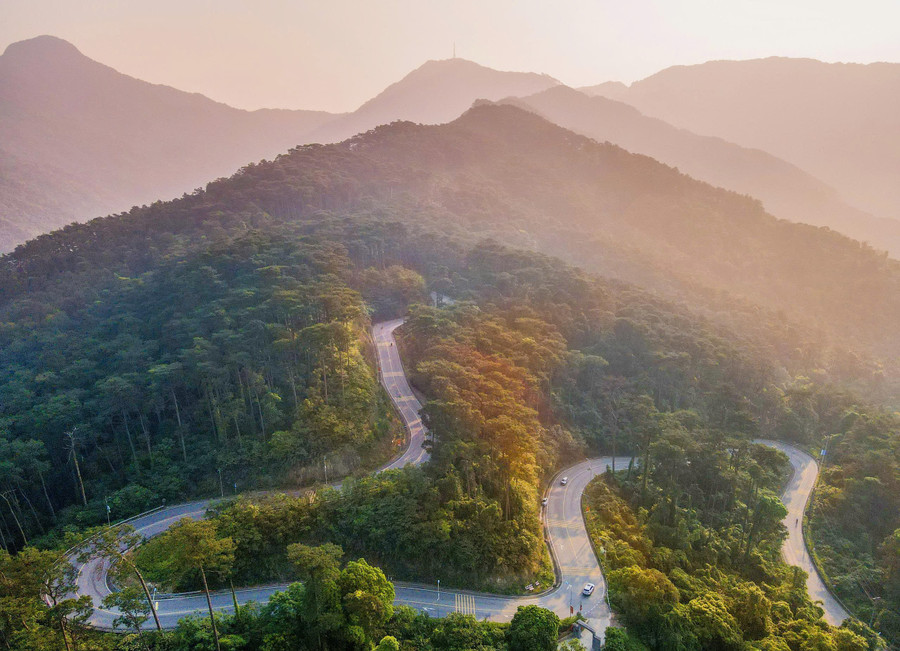 Cung đường lên Tam Đảo uốn lượn giữa núi rừng, như dải lụa vắt ngang trời, nơi mỗi khúc cua mở ra một bức tranh thiên nhiên đầy mê hoặc, đưa lữ khách dần bước vào miền cổ tích. tam-dao-thi-tran-suong-giang-giua-lung-troi-1.jpg