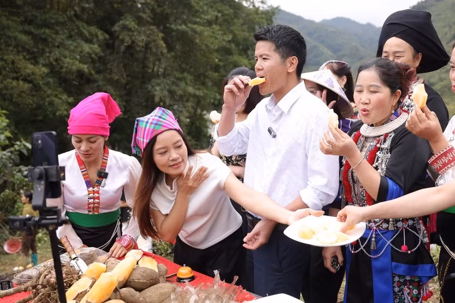 Người dân xã Sìn Hồ (Lai Châu) livestream cùng nhau bán sâm đất. Ảnh: INT