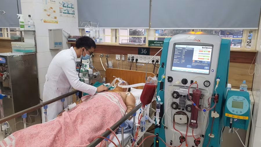 Bệnh nhân nặng phải lọc máu ở Trung tâm Chống độc Bệnh viện Bạch Mai. Ảnh: INT