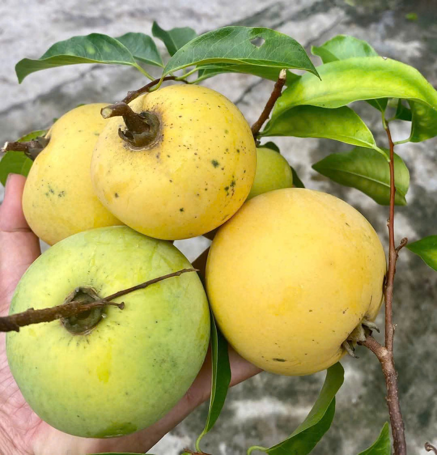 Hương thị níu chân đứa con xa nhà. Ảnh: Thanh Hòa