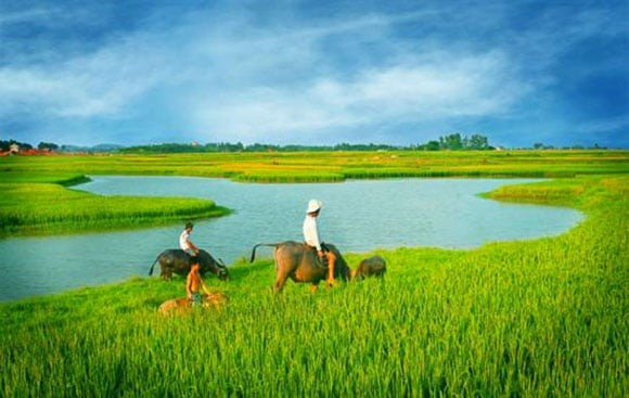 Minh họa/INT.