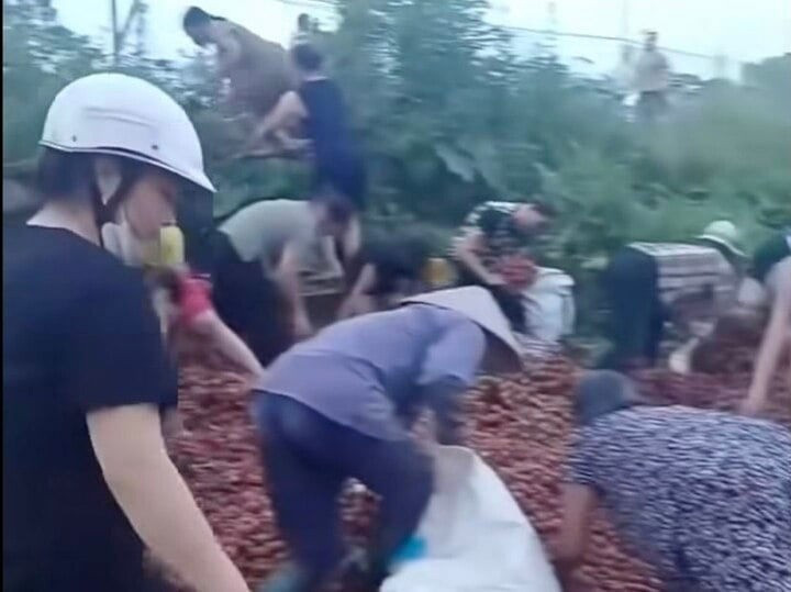 Minh họa/INT