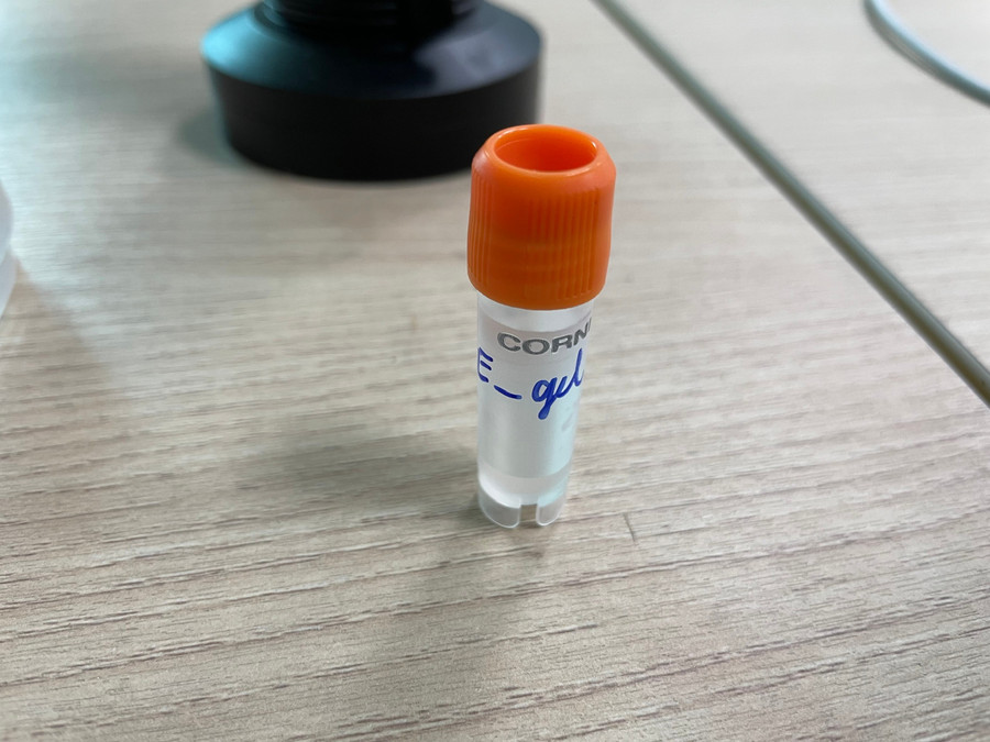 Ống đựng gel chứa tế bào gốc phục hồi cơ tim của nhóm nghiên cứu. Ảnh: Hà An