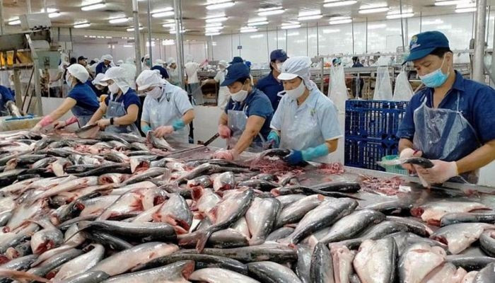 Ngành thủy sản cần dạng hóa thị trường, sản phẩm, xây dựng chiến lược dài hạn. xuat-khau-thuy-san-cach-nao-can-dich-11-ty-do-2.jpg