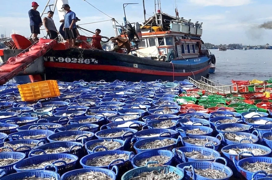 Xuất khẩu thủy sản tìm giải pháp duy trì đà tăng trưởng đạt mục tiêu đề ra. Minh họa: ITN