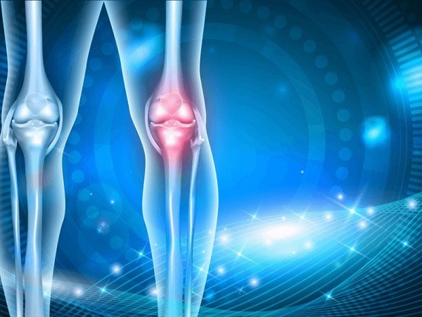 Màng sinh học điều trị tổn thương sụn khớp gối