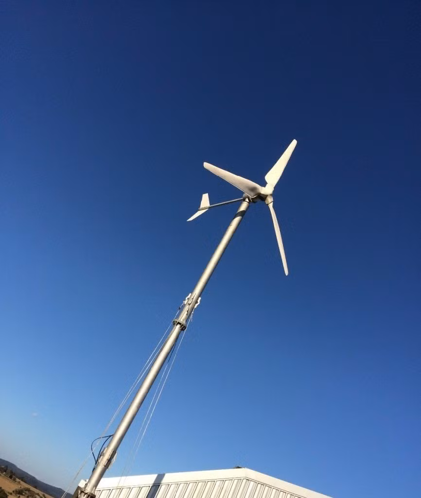 Ảnh minh họa: INT