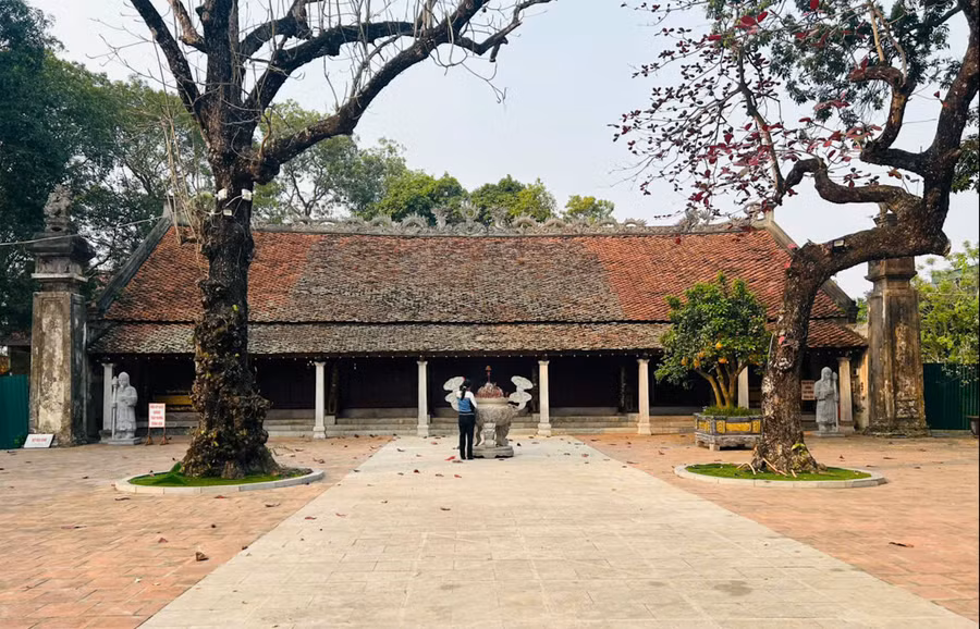 Trải qua hơn 200 năm, Thái miếu đã bị hư hại và được đưa vào trùng tu, tôn tạo.