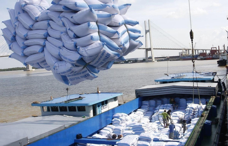 Mở rộng thị trường xuất khẩu là một trong những biện pháp tiên quyết để nắm bắt cơ hội phát triển gạo Việt Nam. Ảnh minh họa: INT xuat-khau-gao-viet-nam-chu-dong-thi-truong-nang-tam-gia-tri-1.jpg