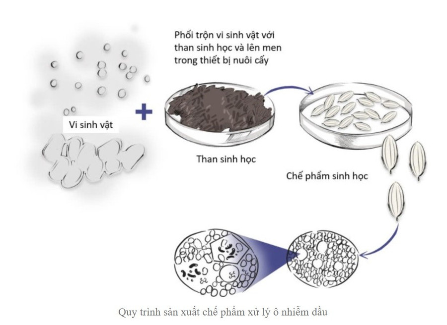 pgsts-le-thi-nhi-cong-2.jpg