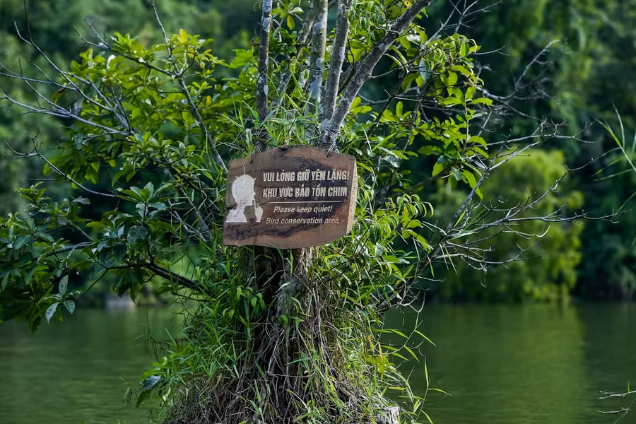 thung-nham-noi-bao-ton-nhieu-loai-chim-quy-7.jpg