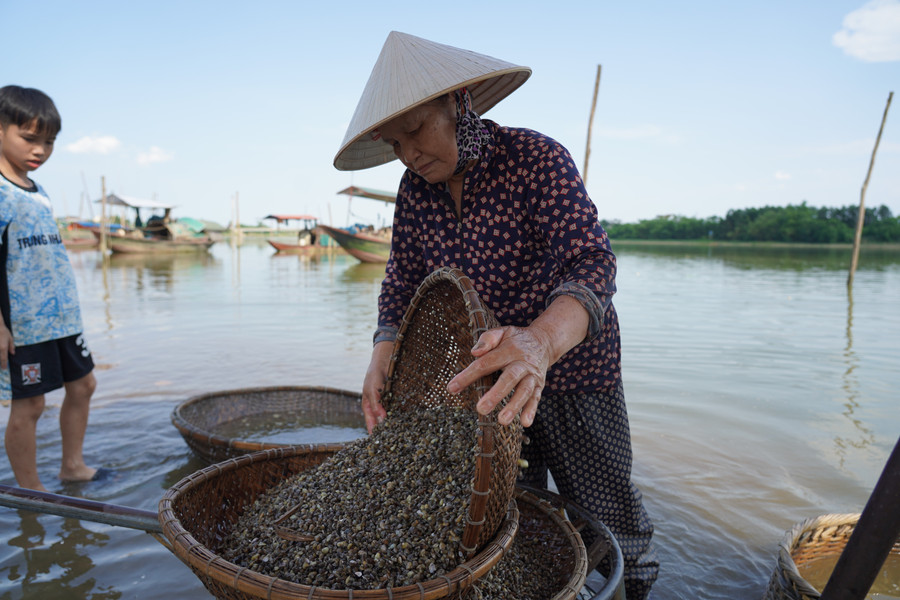 Ở Bến Hến, có những người gắn bó với nghề hơn nửa thế kỷ. ngot-ngao-vi-hen-song-la-2.jpg
