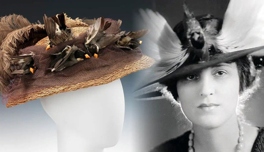 Mũ gắn xác chim nguyên con của quý bà Victoria. Ảnh: Thecollector.com