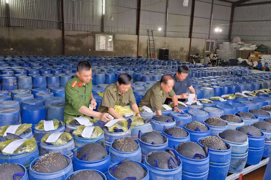 Cơ quan chức năng niêm phong thùng chứa giá đỗ ngâm hóa chất. Ảnh: CANA