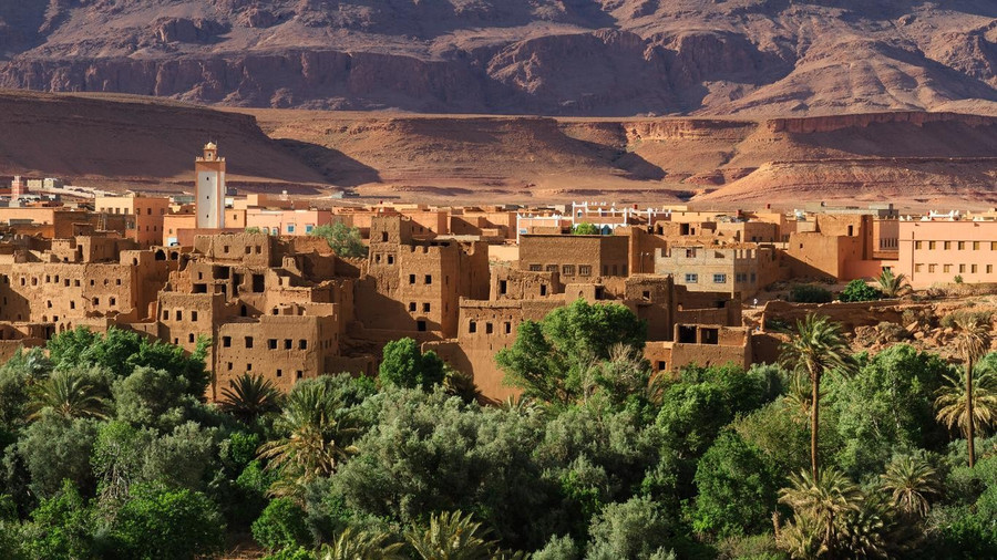 Thị trấn ốc đảo Skoura xanh xinh lung linh giữa khu vực khô hạn. Ảnh: Kayak.co.uk