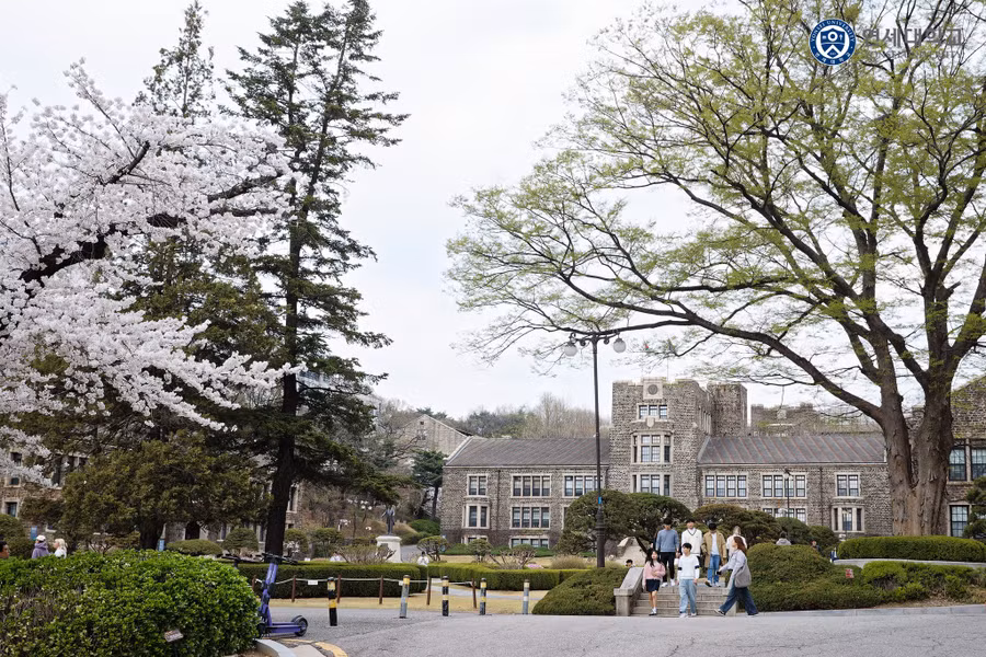 Nhiều sinh viên Hàn Quốc từ chối nhập học ngành bán dẫn tại các đại học hàng đầu.