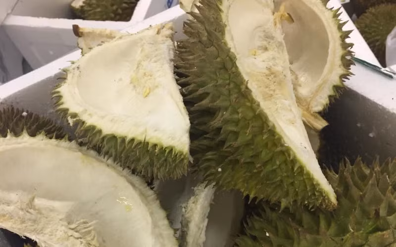 Vỏ sầu riêng có thể xử lý thành phân hữu cơ vi sinh giàu dinh dưỡng cho cây trồng.