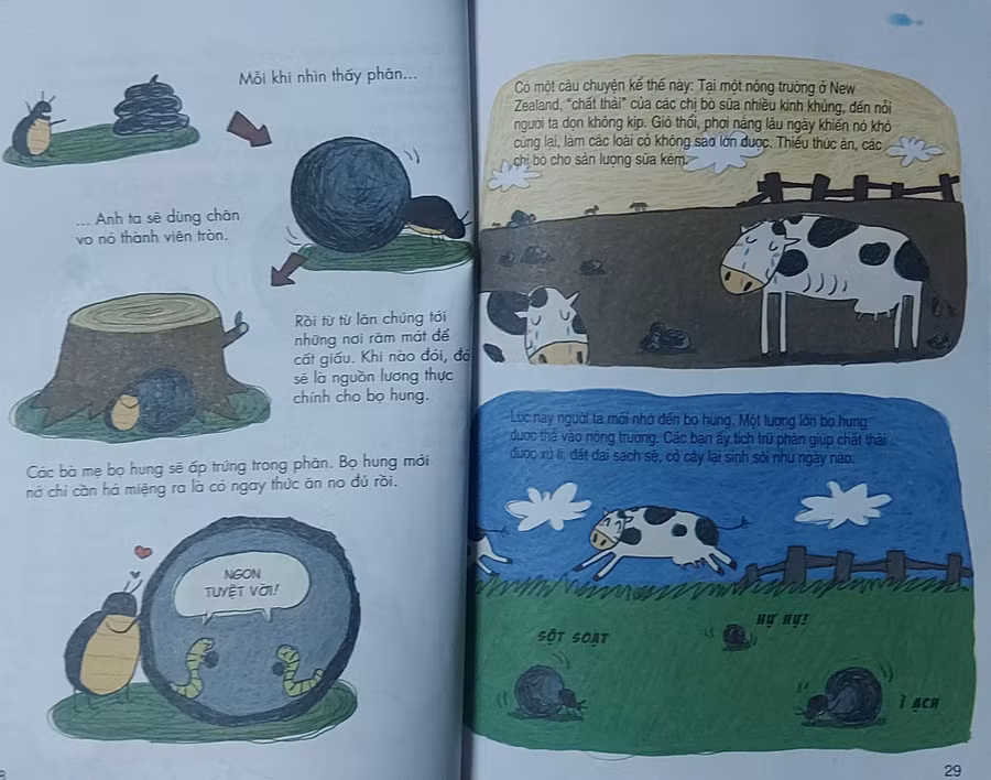 Những trang sách được trình bày hấp dẫn. Ảnh: Tấn Quyết