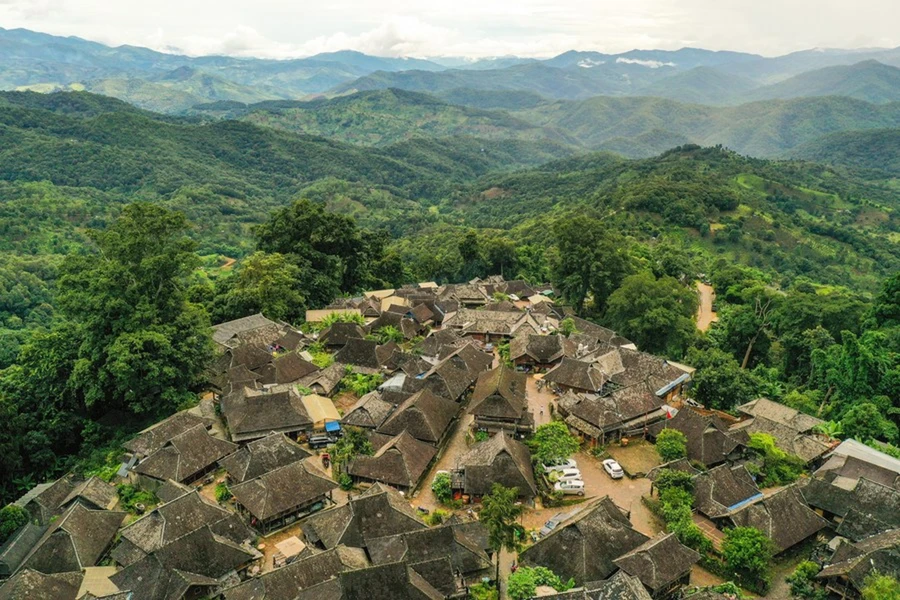 Trà quý như vàng trên núi Tĩnh Mai- Ảnh 1.