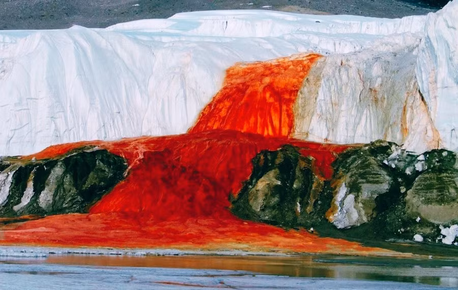 Thác Máu ở Nam Cực.