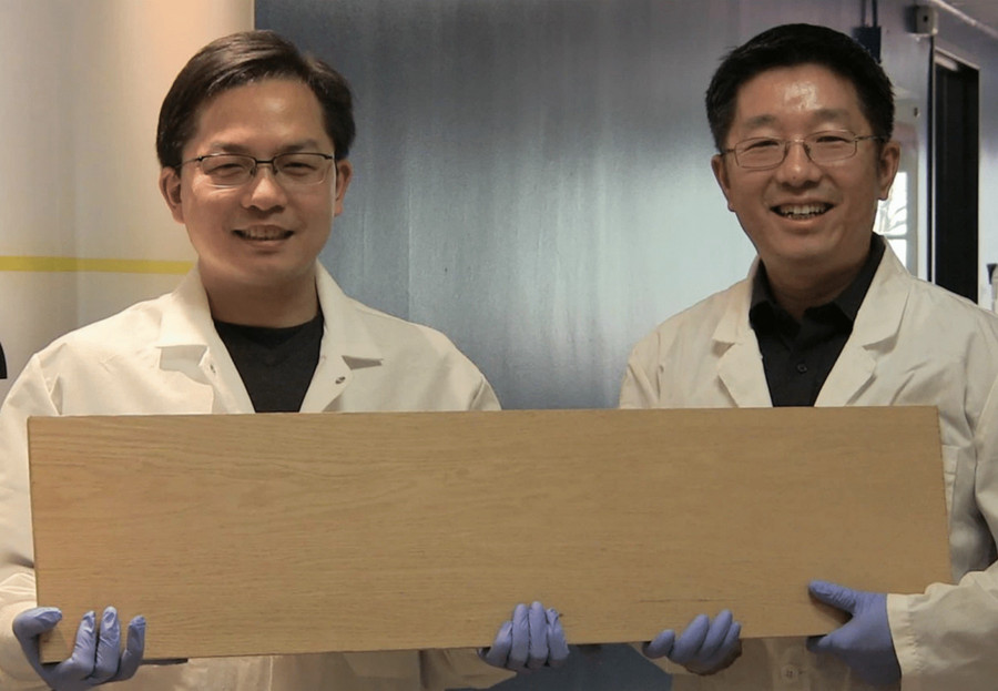 Các nhà khoa học đang tạo ra siêu gỗ: Bền hơn thép, nhẹ hơn bao giờ hết. biostrong-wood-sieu-go-manh-hon-thep-2.jpg