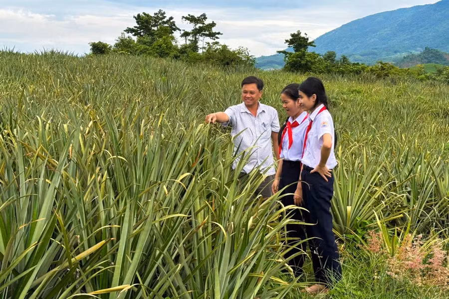 Hai học sinh cùng thầy giáo đi khảo sát vùng trồng dứa làm nguyên liệu sản xuất tóc giả.