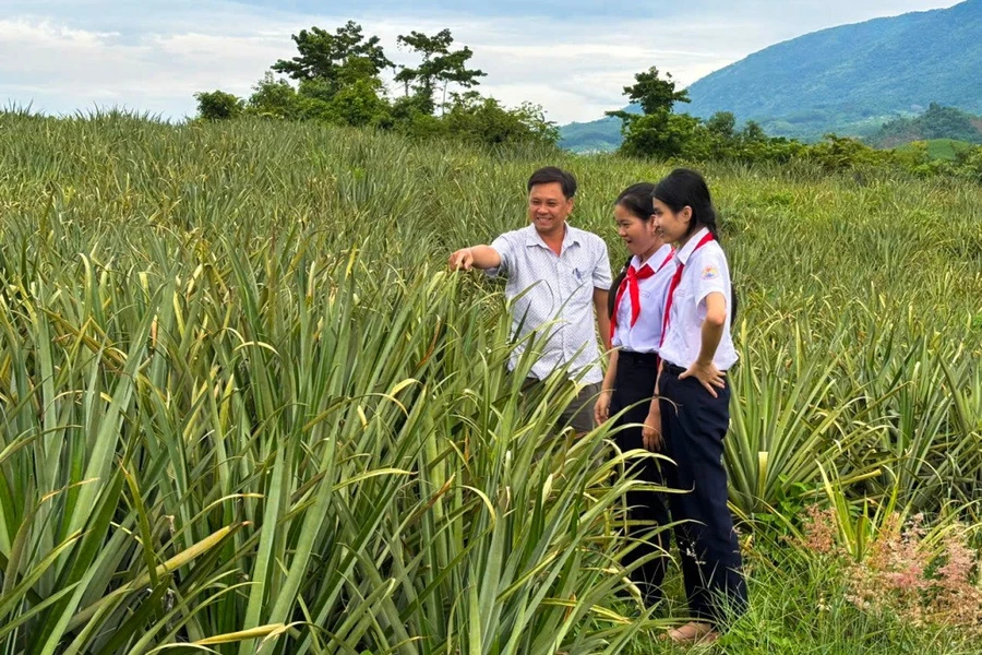 Hai học sinh cùng thầy giáo đi khảo sát vùng trồng dứa làm nguyên liệu sản xuất tóc giả.