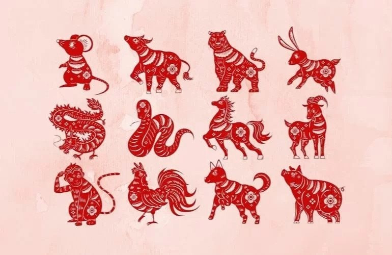 Tử vi 12 con giáp ngày 31/7: Ngọ được cát tinh che chở, Sửu có cơ hội tăng thu nhập