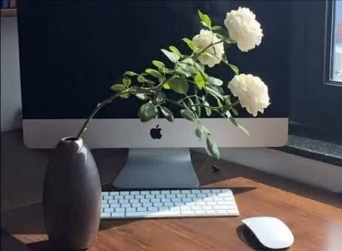 Tử vi 12 con giáp ngày 19/9: Mùi vượng tình duyên, Hợi không nên mưu sự chuyện lớn