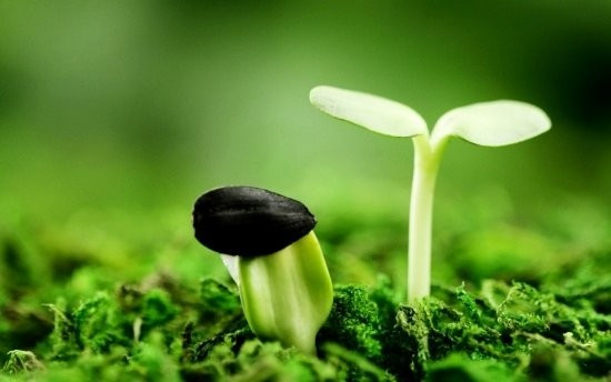 Tử vi 12 cung hoàng đạo ngày 29/9 gọi tên chòm sao may mắn nhất, đón nhận mọi vận may