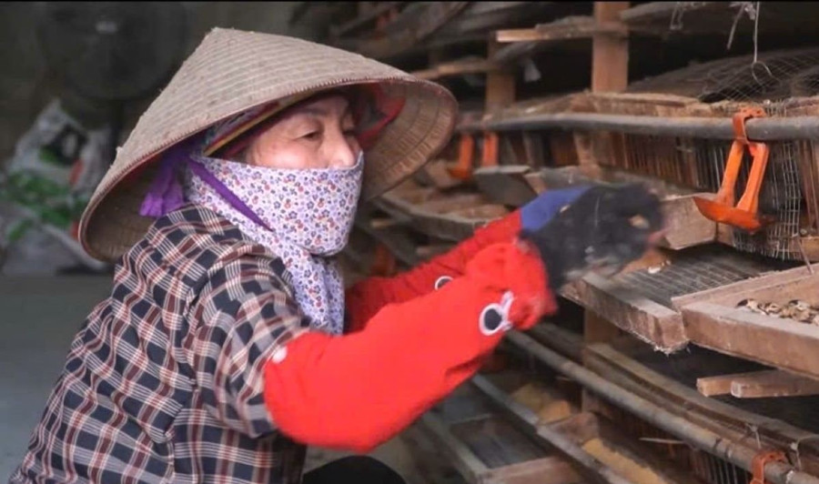 Giảm nghèo nhờ chính sách hỗ trợ trực tiếp hiệu quả. Ảnh TL