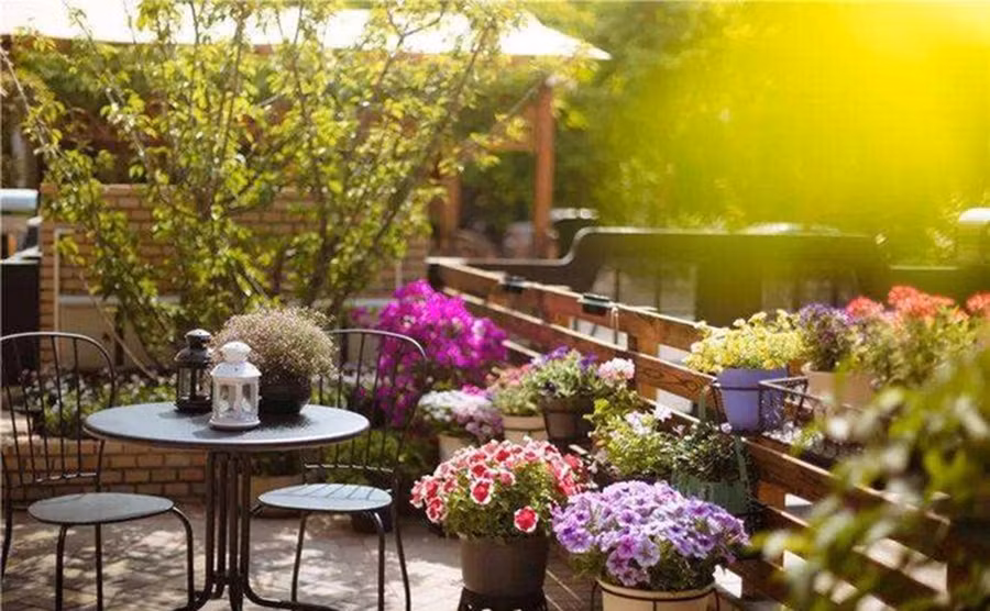 3. Mot so nguoi nhay cam voi phan hoa.jpg