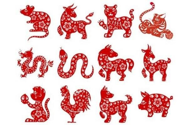 Tử vi 12 con giáp ngày 20/6: Tý đón tin vui, Tỵ vận trình hanh thông