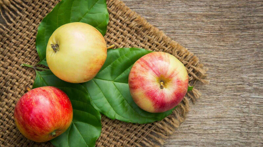 Một lý do để ăn táo nhằm tăng ham muốn tình dục là chúng có thể làm tăng mức năng lượng của bạn. (Ảnh: ITN)