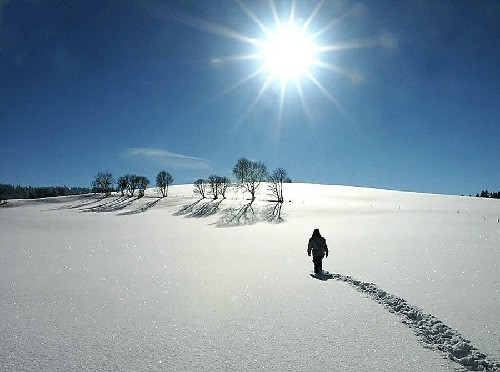 Song Tử đi từng bước thật chậm, Bò Cạp gặp nhiều thử thách trước mắt ngày 21/11