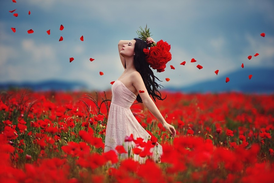 Tử vi 12 con giáp ngày 17/3: Ngọ tình cảm thăng hoa, Dậu công việc suôn sẻ 