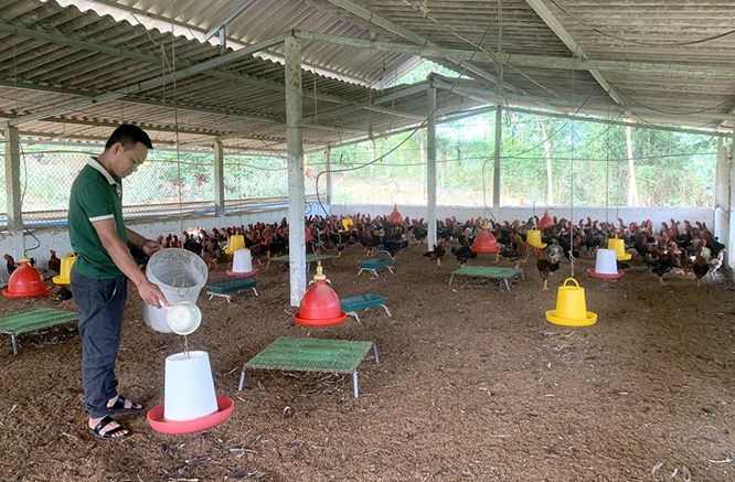 Cuộc sống của người dân dần ổn định, thoát nghèo. Ảnh BPT