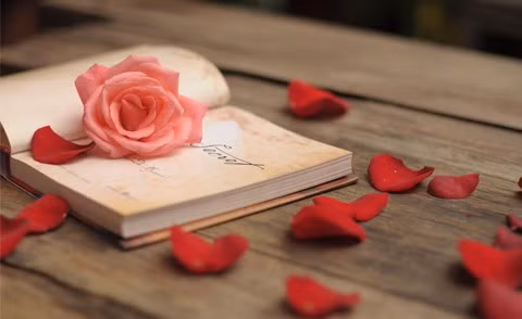 Song Tử công việc suôn sẻ, Bò Cạp nên tập thói quen tiết kiệm ngày 19/1