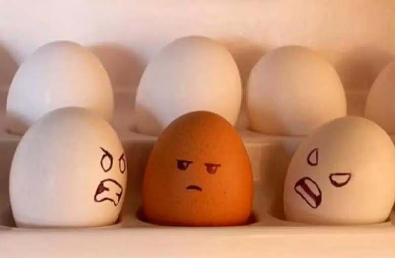 Tử vi 12 con giáp 10/12: Ngọ cẩn thận thị phi, Hợi tình duyên phơi phới