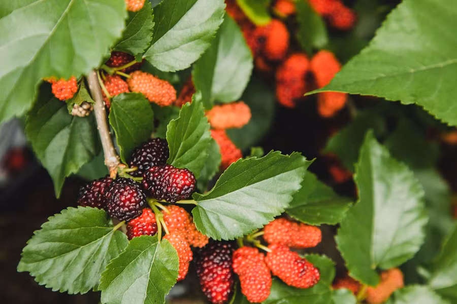 3. Them la dau vao thoi quen.jpg