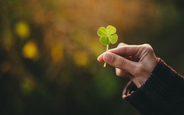 Tử vi 12 con giáp ngày 6/7: Tý, Sửu tài vận may mắn, Mão có khoản thu bất ngờ