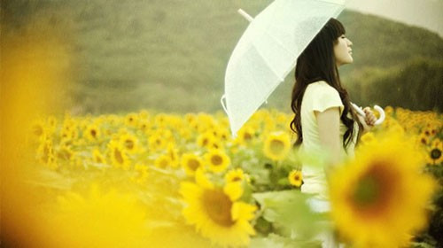 Sư Tử rơi vào tình huống khó xử, Xử Nữ cần kiên nhẫn ngày 8/9