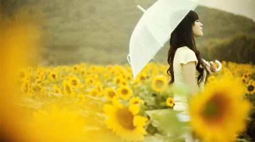 Sư Tử rơi vào tình huống khó xử, Xử Nữ cần kiên nhẫn ngày 8/9